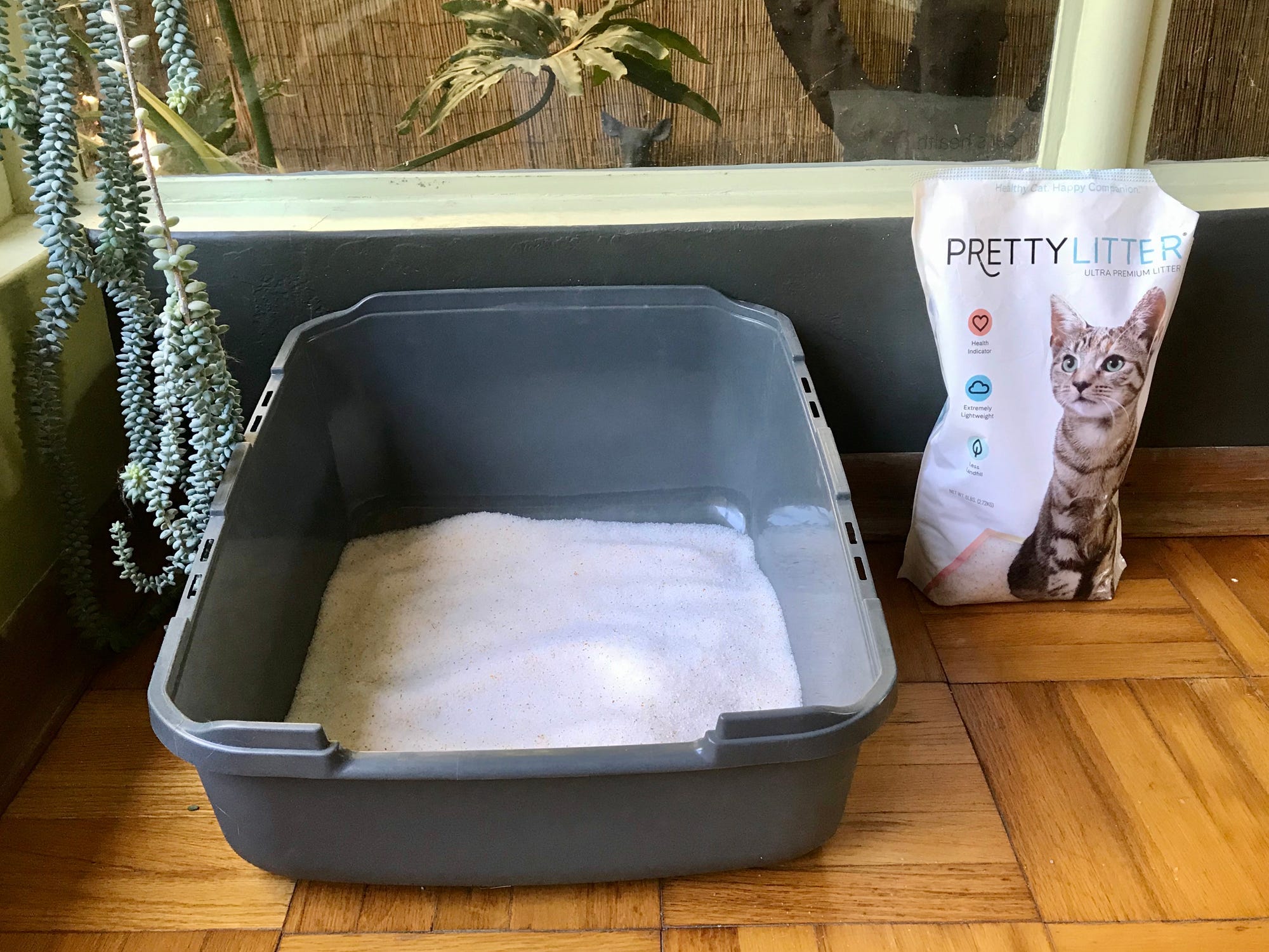 a litter box filled with pretty litter and the bad beside it
