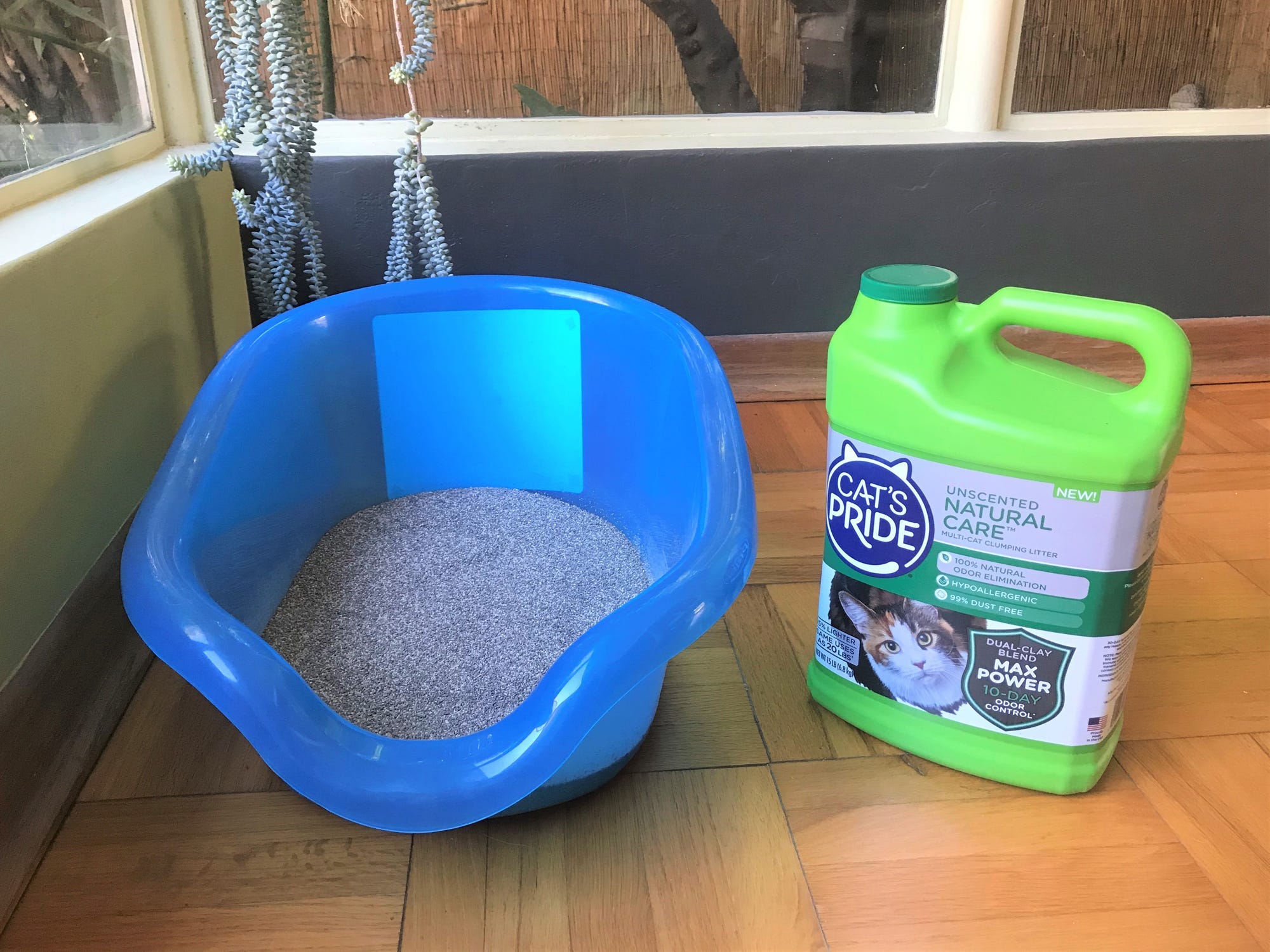 a litter box filled with Cat's Pride Unscented Natural Care Multi-Cat Clumping Litter and the jug beside it