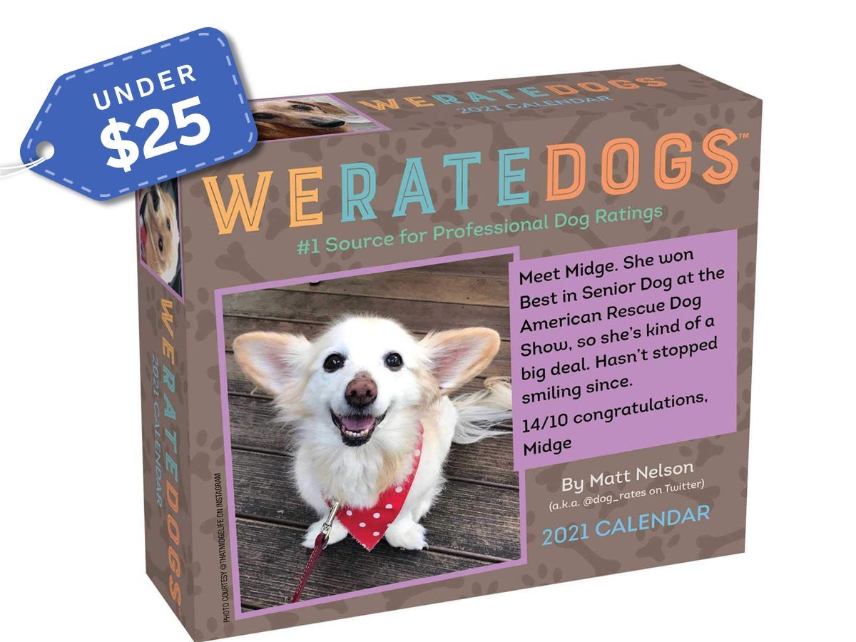 Amazon gifts under $50 We Rate Dogs