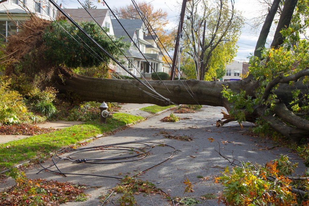Standard homeowners insurance covers lightning and hail damage, but some natural disasters require additional coverage