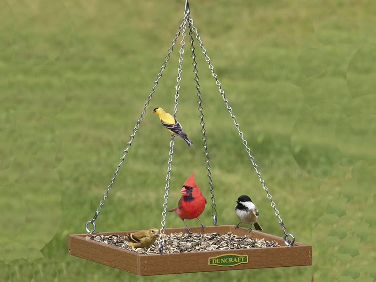three birds perched on the uncraft Eco-Strong Platform Feeder