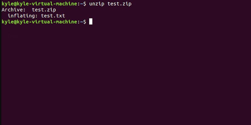 linux terminal with the unzip command typed out and submitted