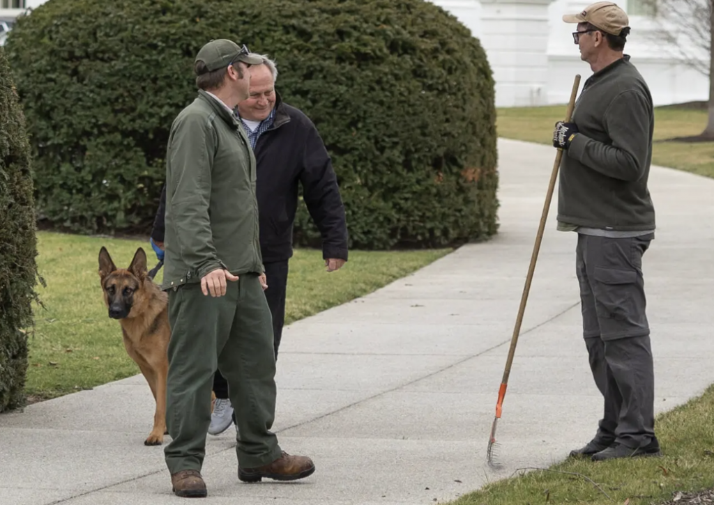 Bidens’ Dog Has Bitten Several Secret Service Agents, Emails Show (nytimes.com)
